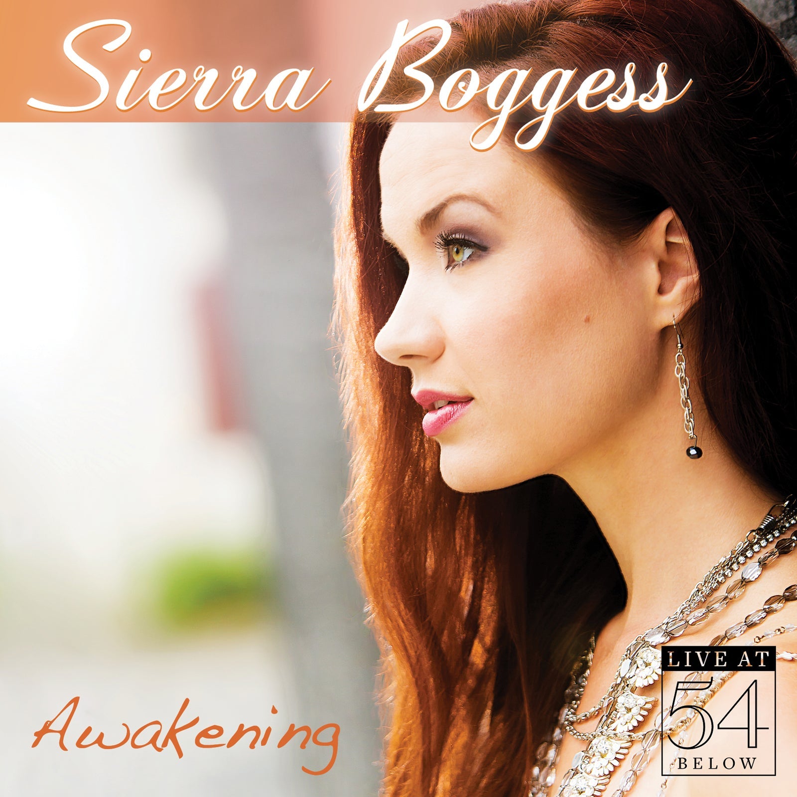 Sierra Boggess: Awakening - Live at 54 Below  [MP3]